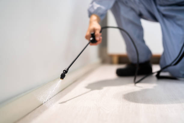 Bed Bug Pre-Treatment Preparation Assessment in Hallowell