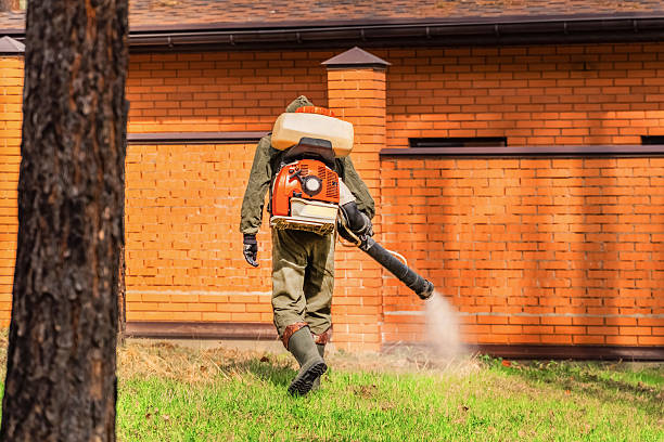 Bed Bug Clearance Verification and Documentation in Hallowell